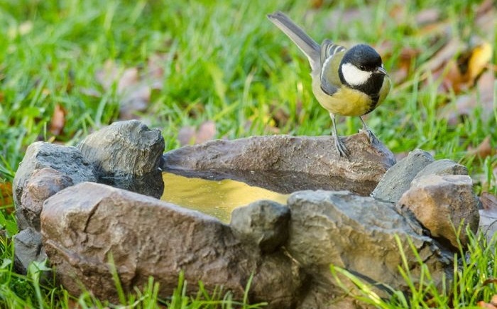 Vogeltränken stellen